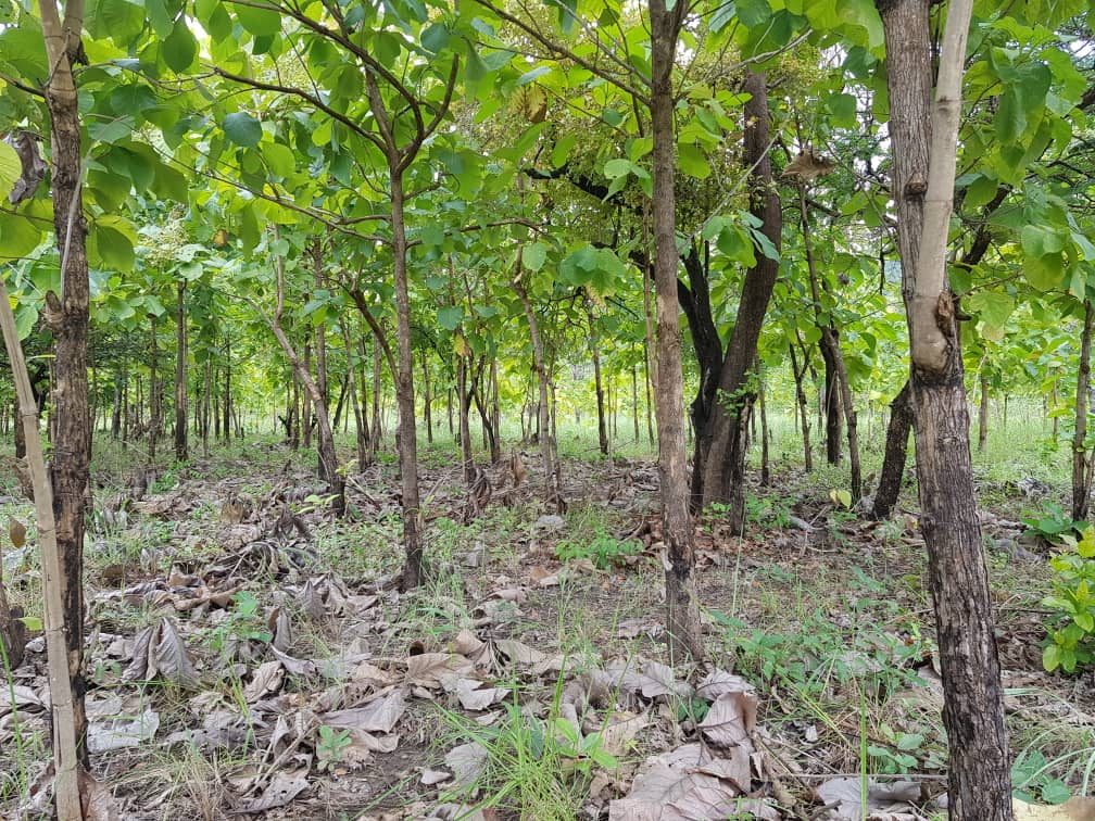 Community and CSR cover