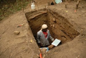 Salvage archaeology photo 6